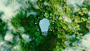 A green forest landscape with a pond-like glow shaped like a light bulb, surrounded by trees and mist.