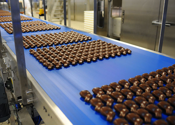 Chocolate confections on a conveyor belt in a factory, neatly arranged and ready for packaging.